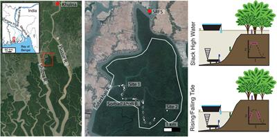 Seasonal Variability of Forces Controlling Sedimentation in the Sundarbans National Forest, Bangladesh